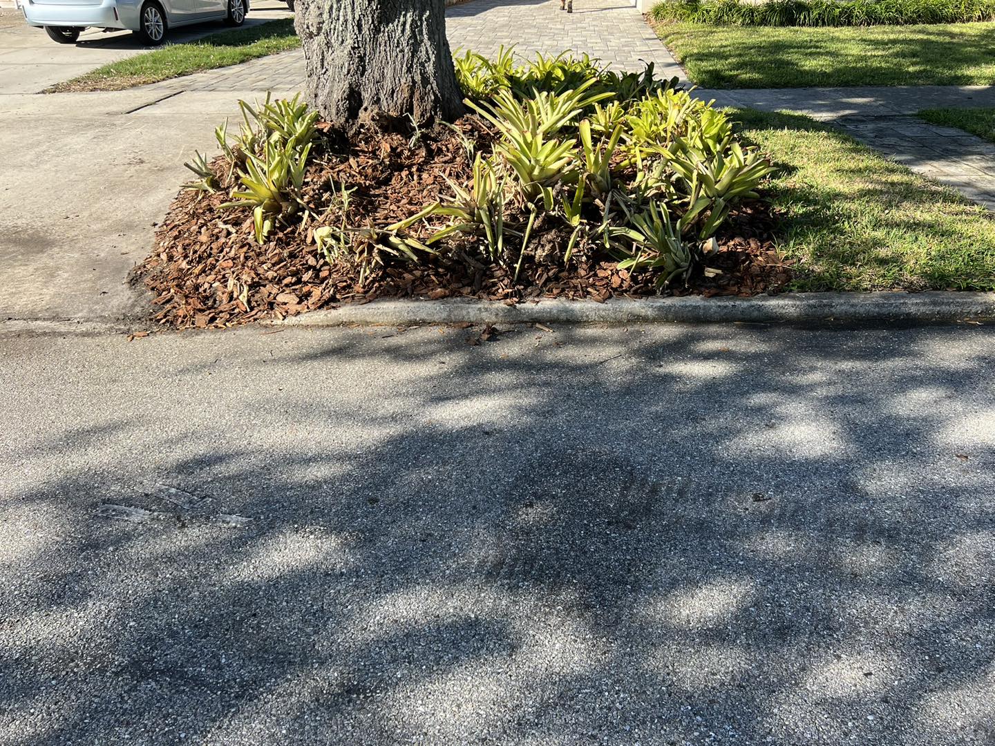 Our Services - Stump Grinding Efficient removal of tree stumps